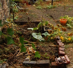 Fumier lombricomposté : quand les petits vers travaillent pour nous :  conseil potager Botanic - botanic®